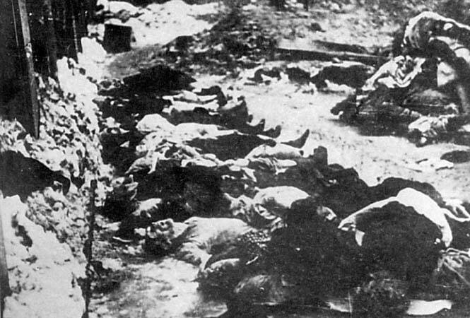 Там, где лежат десятки тысяч жертв Сталина 