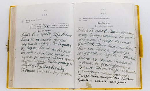 dnevnik-tsesarevicha