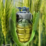 Image for Ирина Ермакова: «ГМО можно использовать как биологическое оружие»