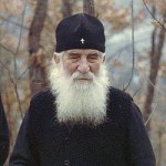 Image for В Сербии обрели мощи преподобного Иустина (Поповича)